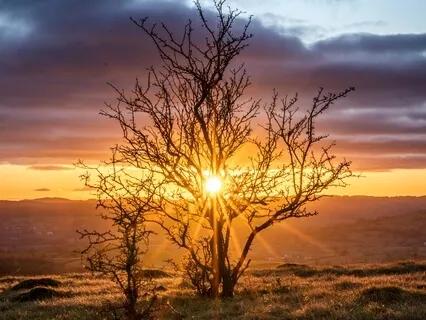 What Other People Think Of You - Practice Staying At Home