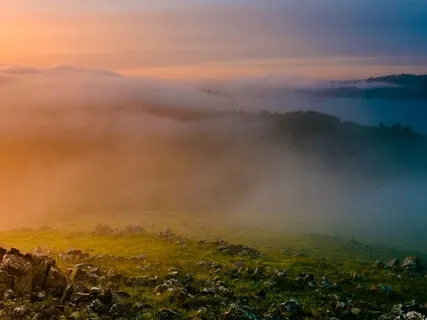 What Part Of The Universe Will Grant Your Wish