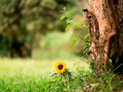 What Random Rule Do You Have In Your Head That Holds You Back?