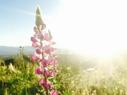 What's Beyond The Universe