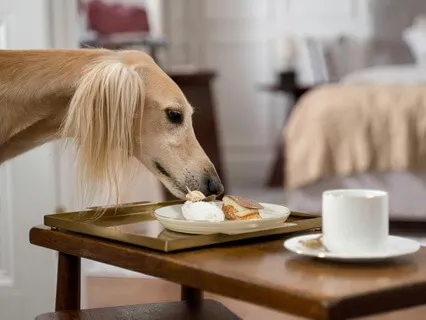 What's Here That Isn't Thought?