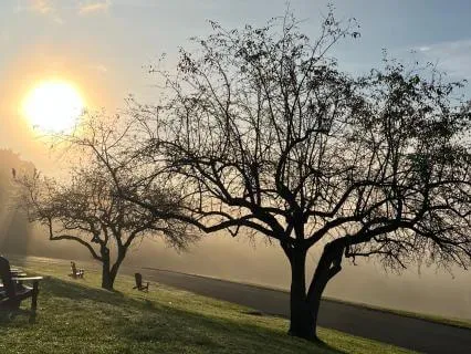 What's Most Important Today? | A Morning Intention Practice