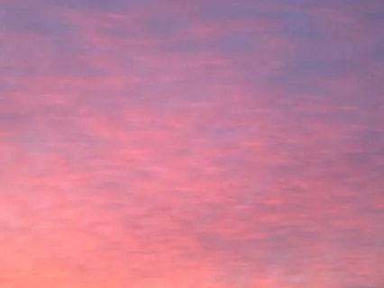 What's Your Intuitive Lanaguage?