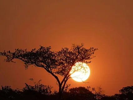 What Safety Feels Like In The Body