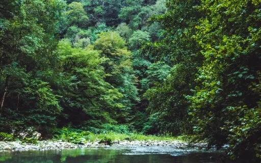 What Stands In The Way Of Your Peace