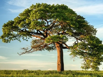 What The Coronavirus Is Here To Teach Us