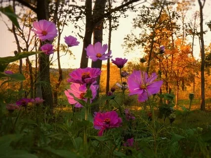 What The Heart Finds In Silence