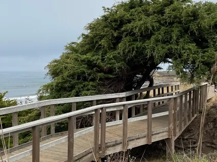 What The Heck Is Grounding & How Do I Get It?