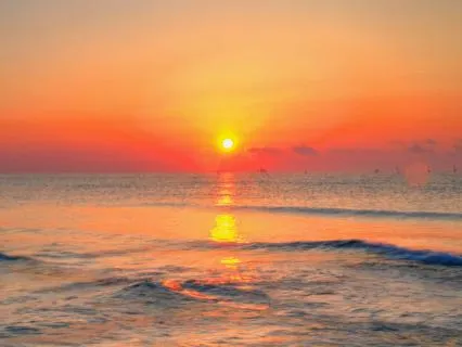 What The Sea Can Teach Us