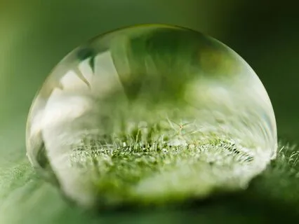 What To Do In This World Of Ours Right Now