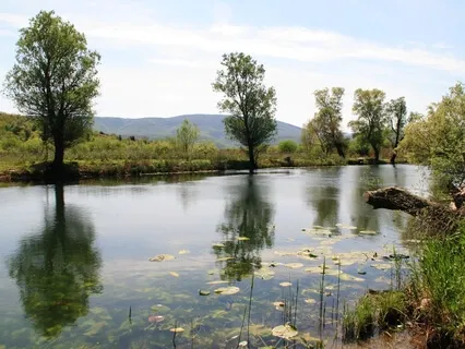 What To Do This Holiday - A Few Options To Consider!