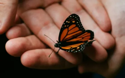 What To Do To Stop Rumination