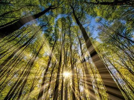 What To Do When Manifestation Doesn't Work