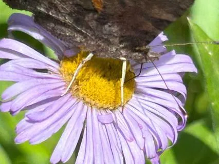 What To Do With Emotional Urgency (3/3)