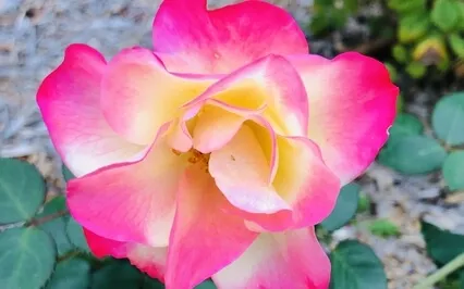 What To Do With Our Memories