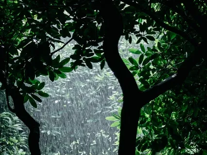 What To Do With The Buzzing & Stinging Thoughts