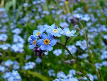 What Truly Matters - May 07