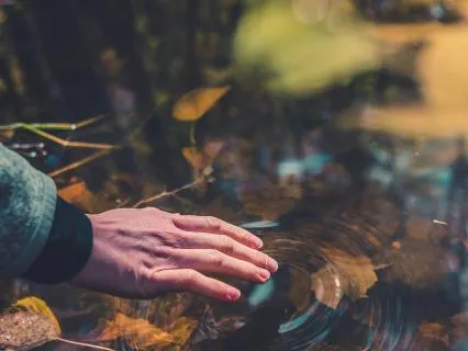 What Water Teaches Us