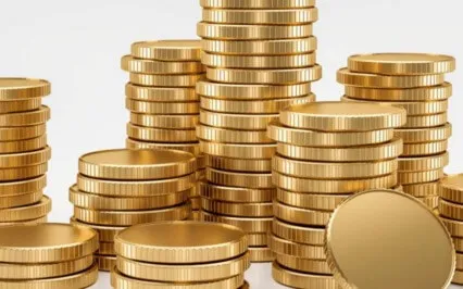  What We Have To Give