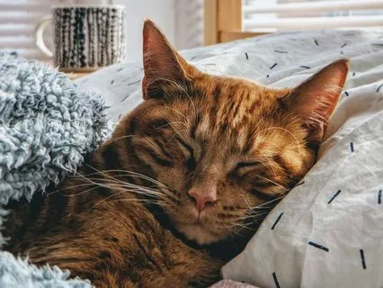 What We Learned About Love