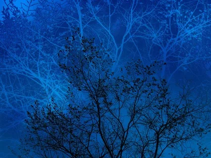 What Went Well (Solfeggio Frequency Sleep 528Hz)