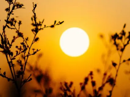 What Will You Create Today? I Morning Meditation