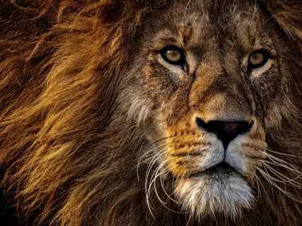 What Will You Do If You Found Happiness?