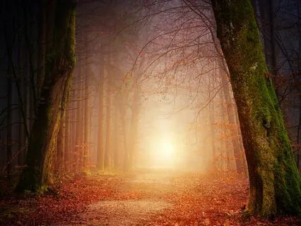 What Works And Doesn't Work On The Spiritual Journey