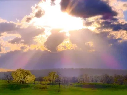 What Would Buddha Do? Taking Refuge In The Beloved