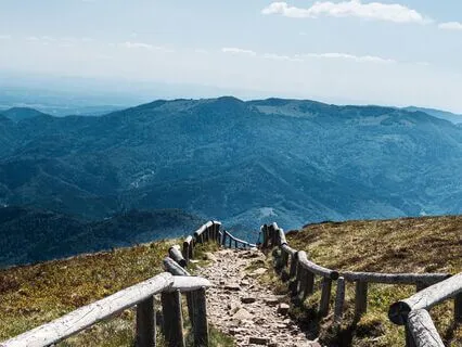 What Would You Like To Tell The World?