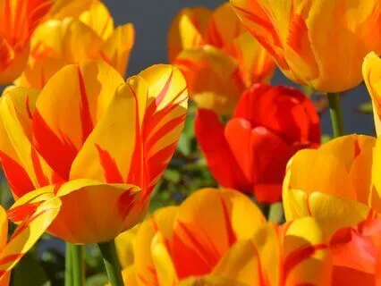 What Would Your Highest Self Do?