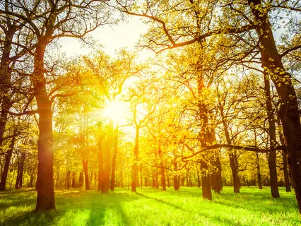 What You Imagine, You Create