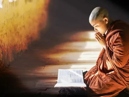 What You Really Want, Is The Truth Of Life