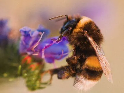 What You Seek Is Seeking You | Positive Vibes Jazz LoFi