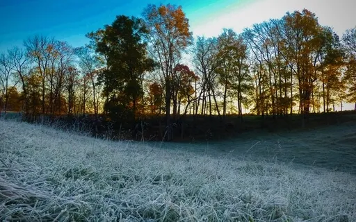 What's The Most Important Thing?