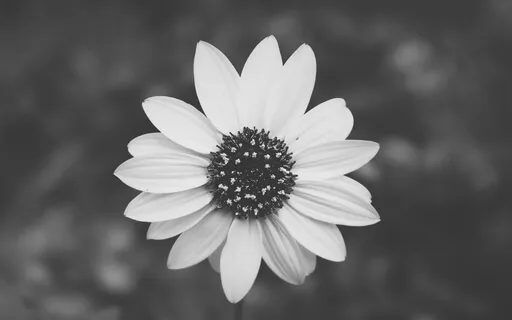 What's Up With Numbing Out?