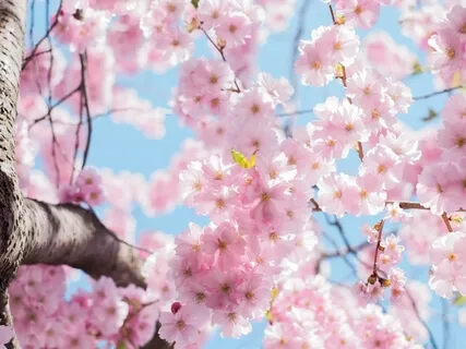 Wheel Of The Year Meditations: Ostara/Spring Equinox