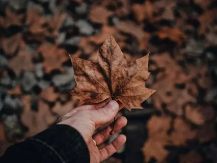 When Anxiety Of Change Happens