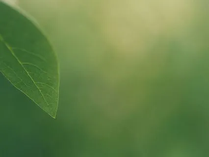 When Belief Becomes Biology