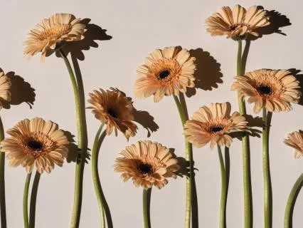 When Care Becomes Part Of The Background