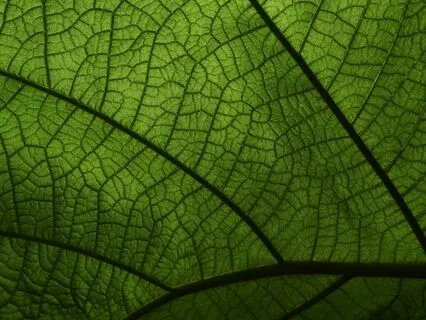 When Consent Gets Confusing