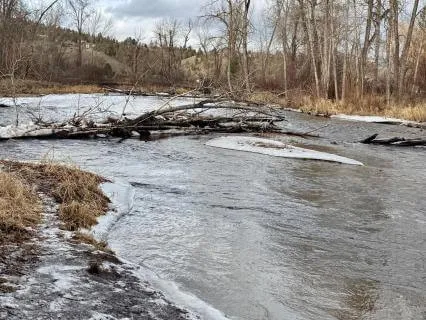 When COVID Comes To Town