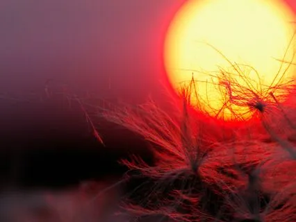 When Daybreak Comes: Welcoming A New Dawn