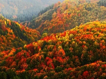 When Death Comes (Poem By Mary Oliver)