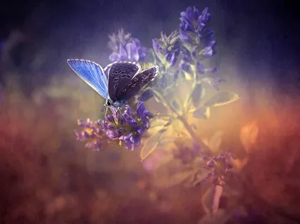 When Did You Stop Singing?