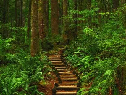 When Doubt Meets Faith: Finding Peace In Uncertainty