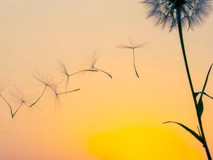 When Emotions Feel Too Much