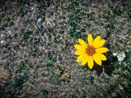 When Everyone Is Against You: Feels Real But Not True