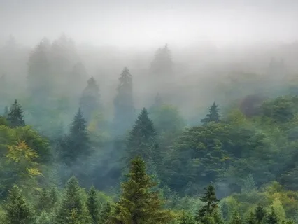 When Everything Feels Too Much - A Grounding SOS Meditation