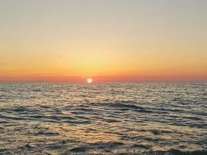 When Everything Feels Too Much: A Soft Reset